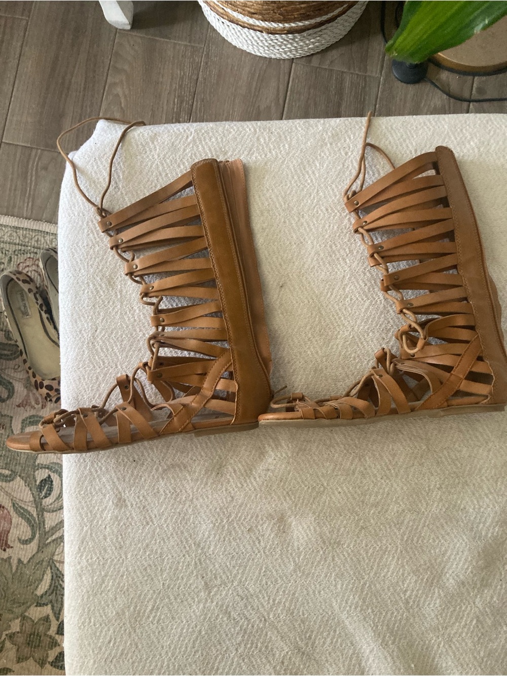 American Rag Tan Gladiator Lace-Up Knee-High Sandals